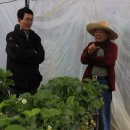 최종명농장 이미지