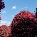 버스정류소_세천동 이미지