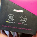 캐칭몬