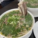포레스트오늘;숲[SOUP]용인
