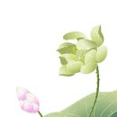 한국 비자 행정사 이미지