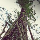 방주목장 이미지