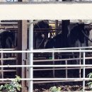 박정호농장(1농장) 이미지