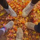 남한산성 | [등산] 소맥산맥 올해 산행 드디어 가다!_남한산성 가을 등산 후기🍂