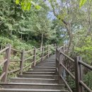 임학공원 출렁다리 이미지