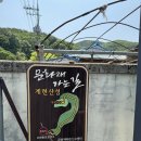 대전둘레산길(4구간) | 대전둘레산길 4구간 삼괴동-산내초교