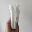 씽씽 | [두돌기저귀추천] 여름기저귀 고민 끝! 모모래빗에코씽씽 사용후기