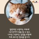 잠꾸러기 - 제천시 탑안로10길 4 | 잠꾸러기