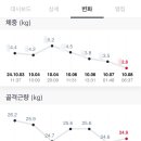 지엘쇼핑 이미지