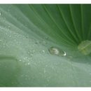 현진에버빌아파트경로당 이미지