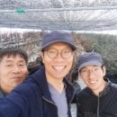 감람농장 이미지