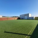 하이멍뭉 이미지