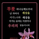 요단성의 이미지
