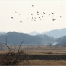 윤성호농장 이미지