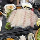 바다이야기횟집 | 평택 바다이야기 횟집 광어 대자 후기! 가성비 좋은 회 맛집
