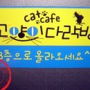 고양이다락방 이미지