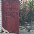 실크로드의 모래와 바람, 그리고 그 곳에 내가... 이미지