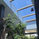 정원야생화 | 경주 강동 정원이 너무예쁜 카페 &#39;야생화일기&#39; 방문후기