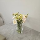 스완즈 | 꾸까 꽃 정기구독 리뷰 N회차 받은 솔직 후기 / 가격·구성·배송 정리 / 내돈내산