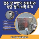 경주 정기방역 쥐퇴치와 식당 정기 소독 후기