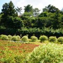 카페자연 이미지