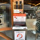 신림 춘천집 부천중동현대점 | 부천 현백 맛집 서울3대닭갈비 신림춘천집 내돈내산 후기