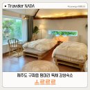 스르르르 | 제주도 구좌읍 숙소 스르르르 평대리 가성비 독채 감성숙소 내돈내산 솔직후기