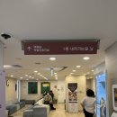 산본제일병원급 의료기관 | 산본제일병원 2차 정밀초음파 후기