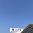 대구 삼성 라이온즈 파크 3열 스카이석 직관 후기