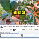 아이플라워 메이트 이미지