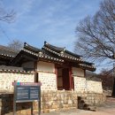 산수유 연인의길 이미지