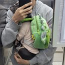 같이할개 반려견유치원 대전점 네이버블로그