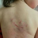 부산법원어린이집 이미지