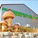 촌닭집