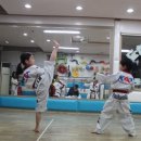 용인대KAT태권도 이미지