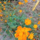 정선마루펜션 이미지