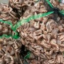 강서로 47길 이미지