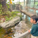 중부대로 798번길 | 경기도 이천 아이와 가볼만한곳 환경학습관 실내 식물원 어린이체험관