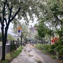 정치과의원 | 복수동 치과) 정이가는 치과 쫄보의 충치 치료 후기