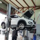 카리스 모터스 이미지