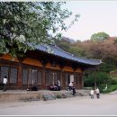 아지 청소년 야영장 이미지