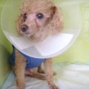 병구동물병원 이미지