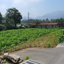 장동면 행정복지센터 이미지