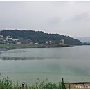과림