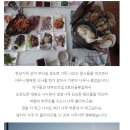 참한횟집