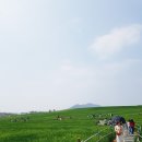 광신농장 이미지