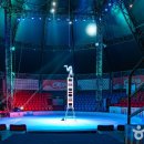 삽교천길 이미지