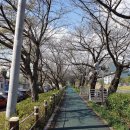 옥천골한정식 이미지