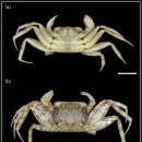 (주)진바이오사이언스 이미지