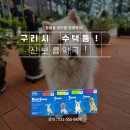 보룡동물약국 이미지